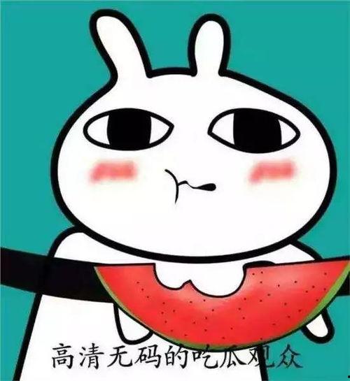 吃瓜比赛表情包图片,吃瓜比赛表情包盘点，笑料百出！